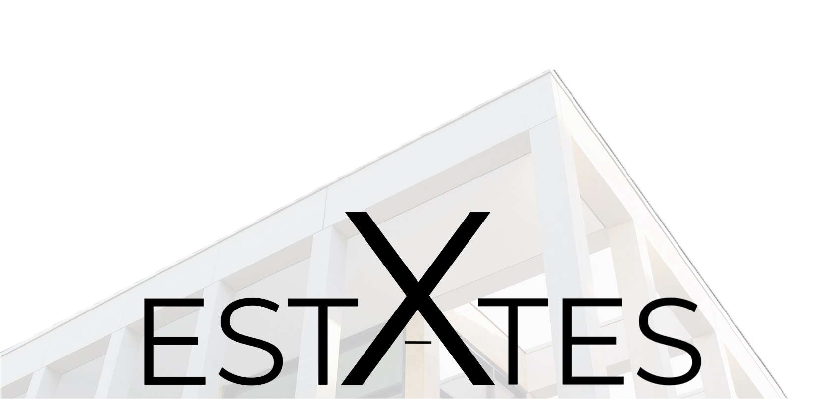 x estates logo klein